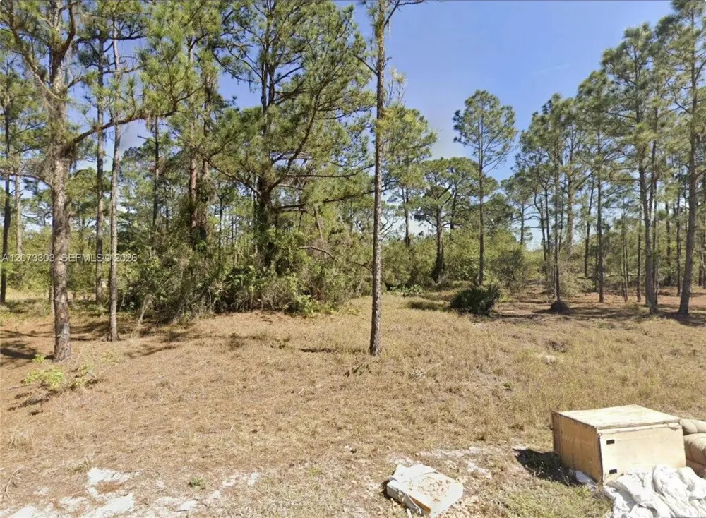 613 Lynn court Lake Placid, FL 33852