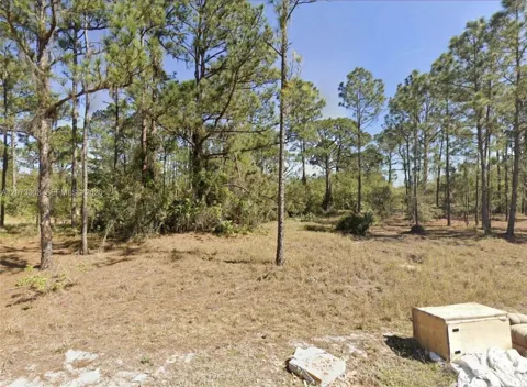 Address Not Shown