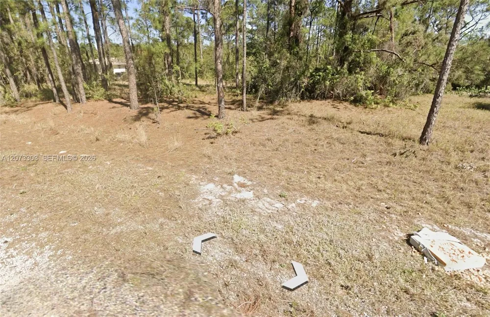 613 Lynn court Lake Placid, FL 33852
