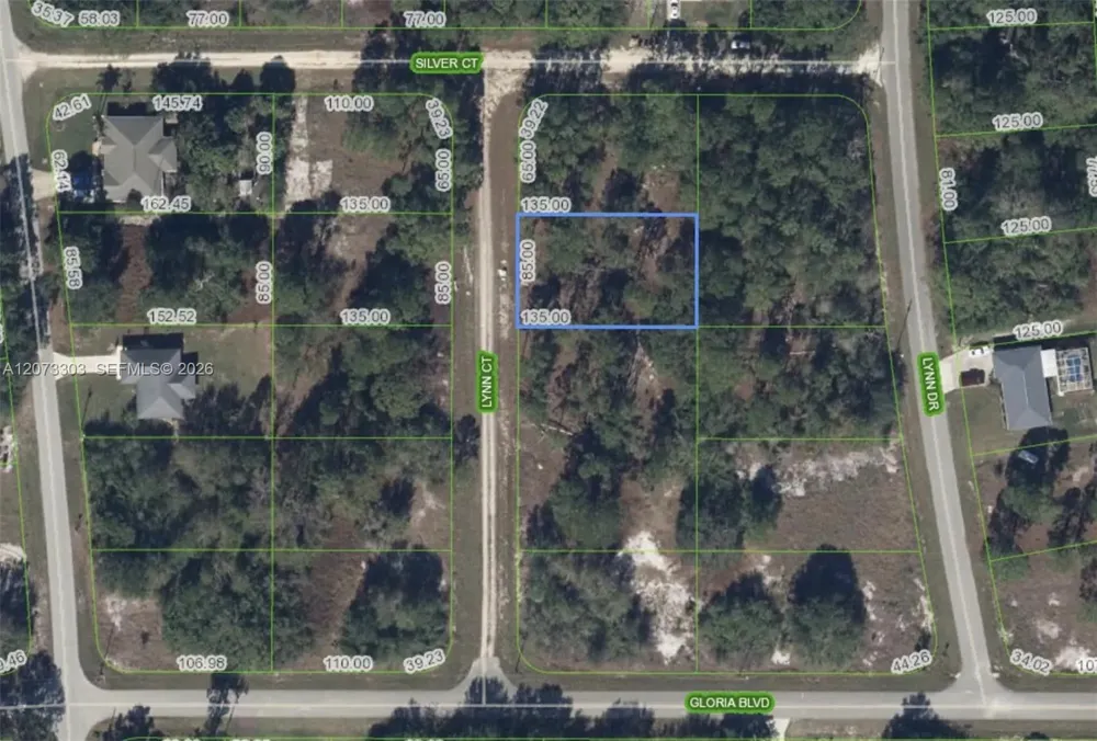 613 Lynn court Lake Placid, FL 33852