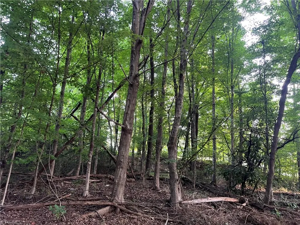 Tract 1 E Main Street Pilot Mountain, NC 27041