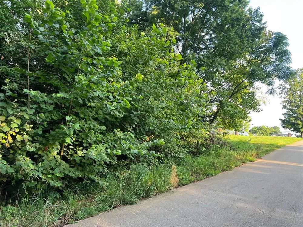 Tract 1 E Main Street Pilot Mountain, NC 27041