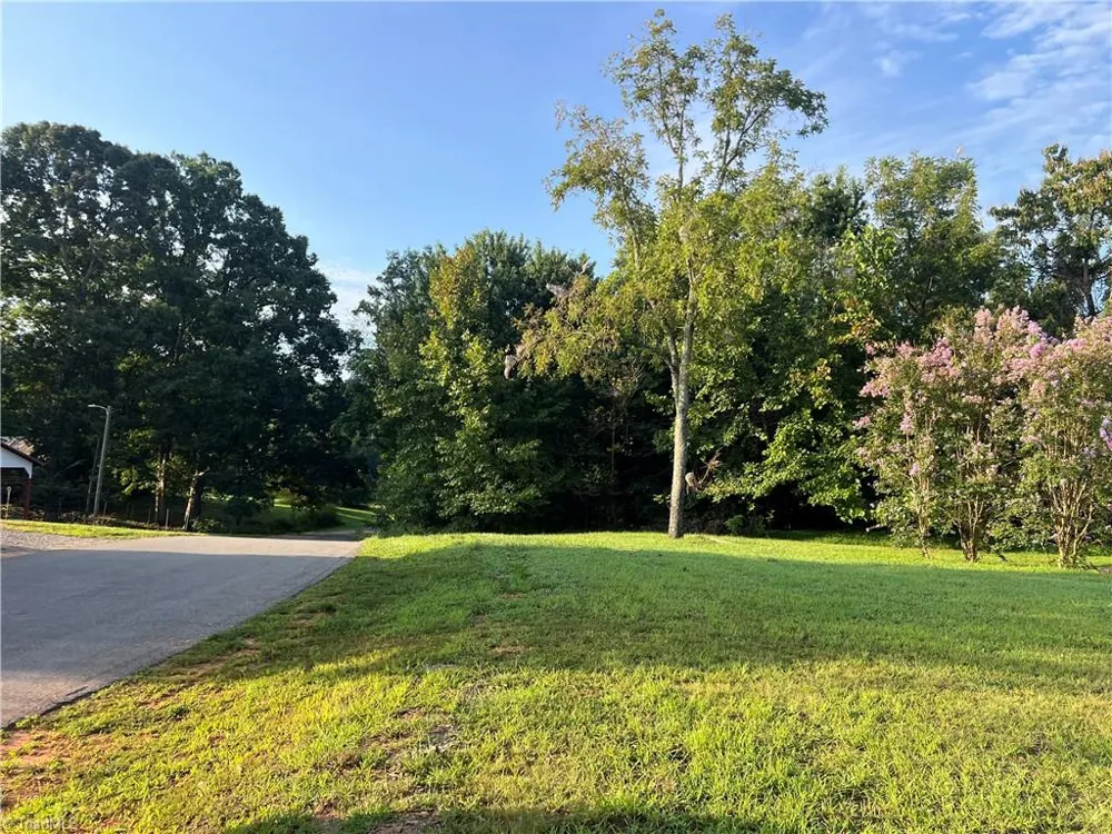 Tract 1 E Main Street Pilot Mountain, NC 27041