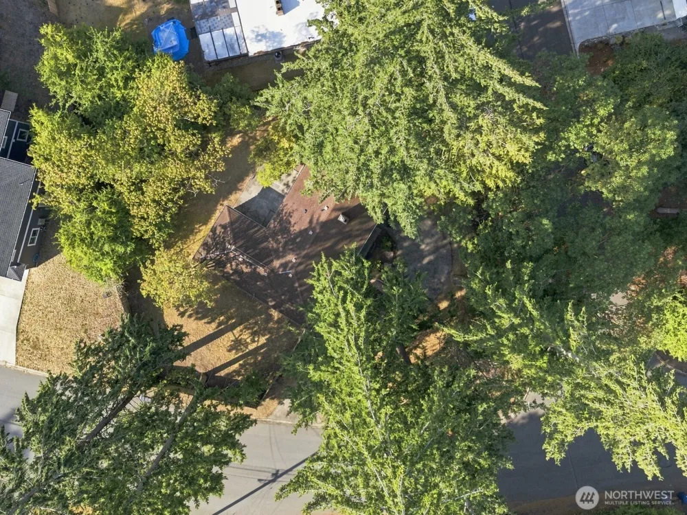 3839 145th Avenue SE Bellevue, WA 98006