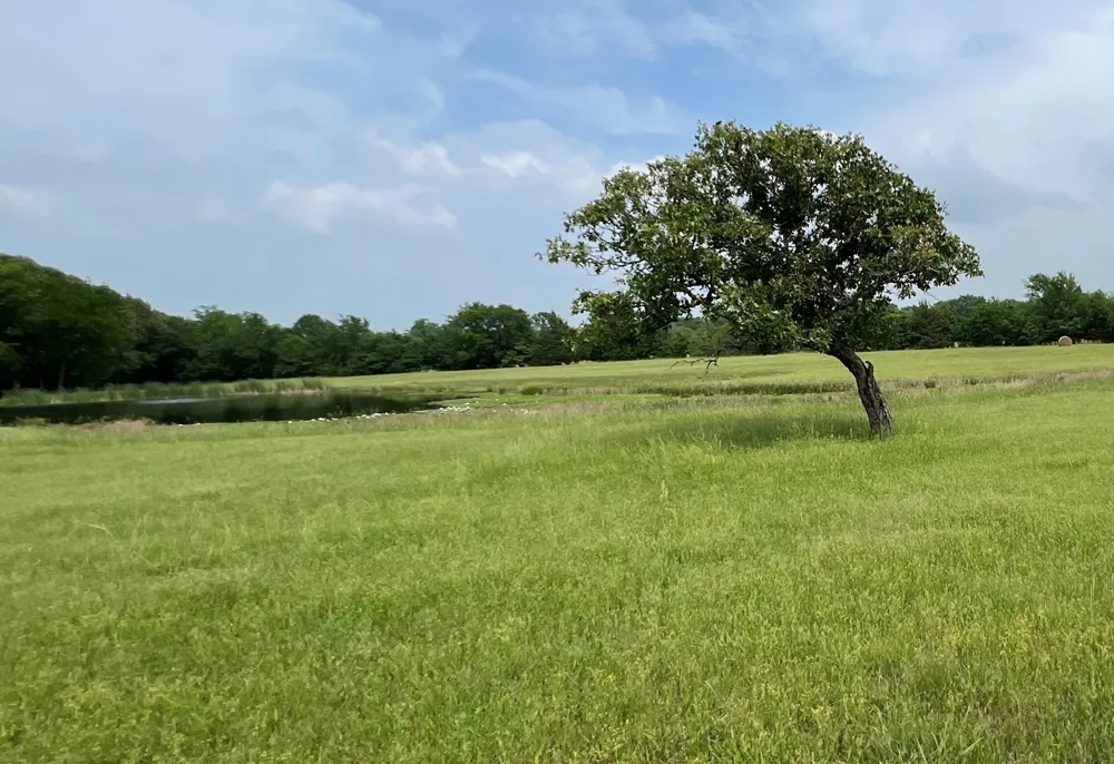 PR 5291 Yantis, TX 75497