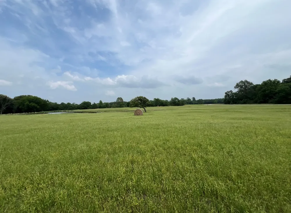 PR 5291 Yantis, TX 75497