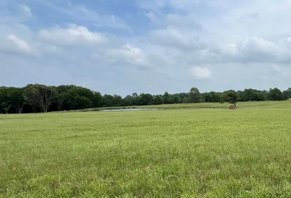 PR 5291 Yantis, TX 75497