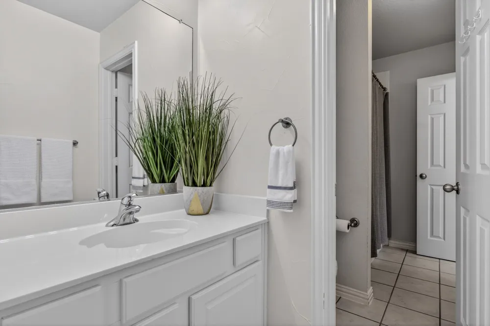 3629 Nandina Drive Flower Mound, TX 75022