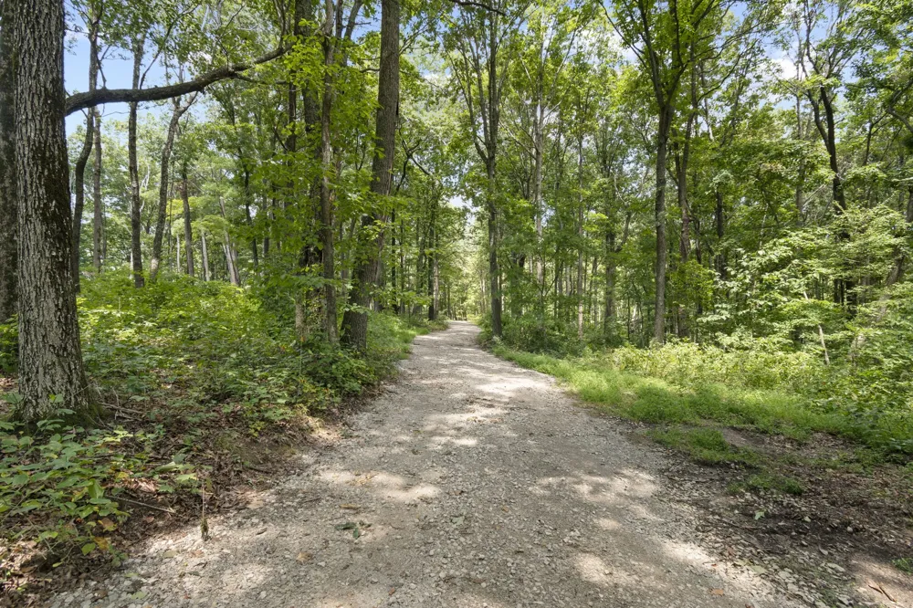 824 Valley View Drive Altamont, TN 37301