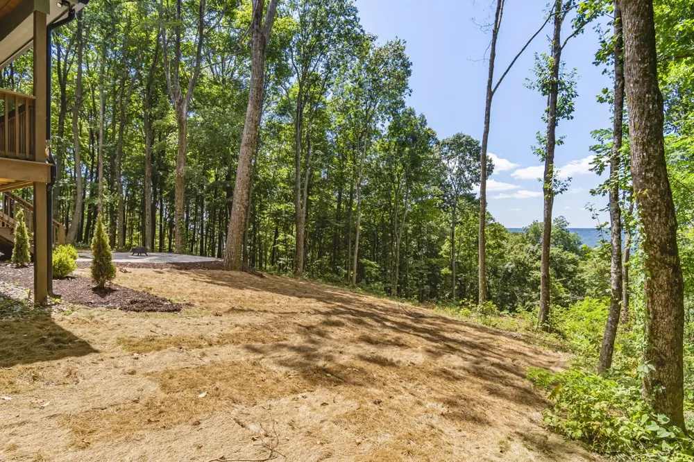 824 Valley View Drive Altamont, TN 37301