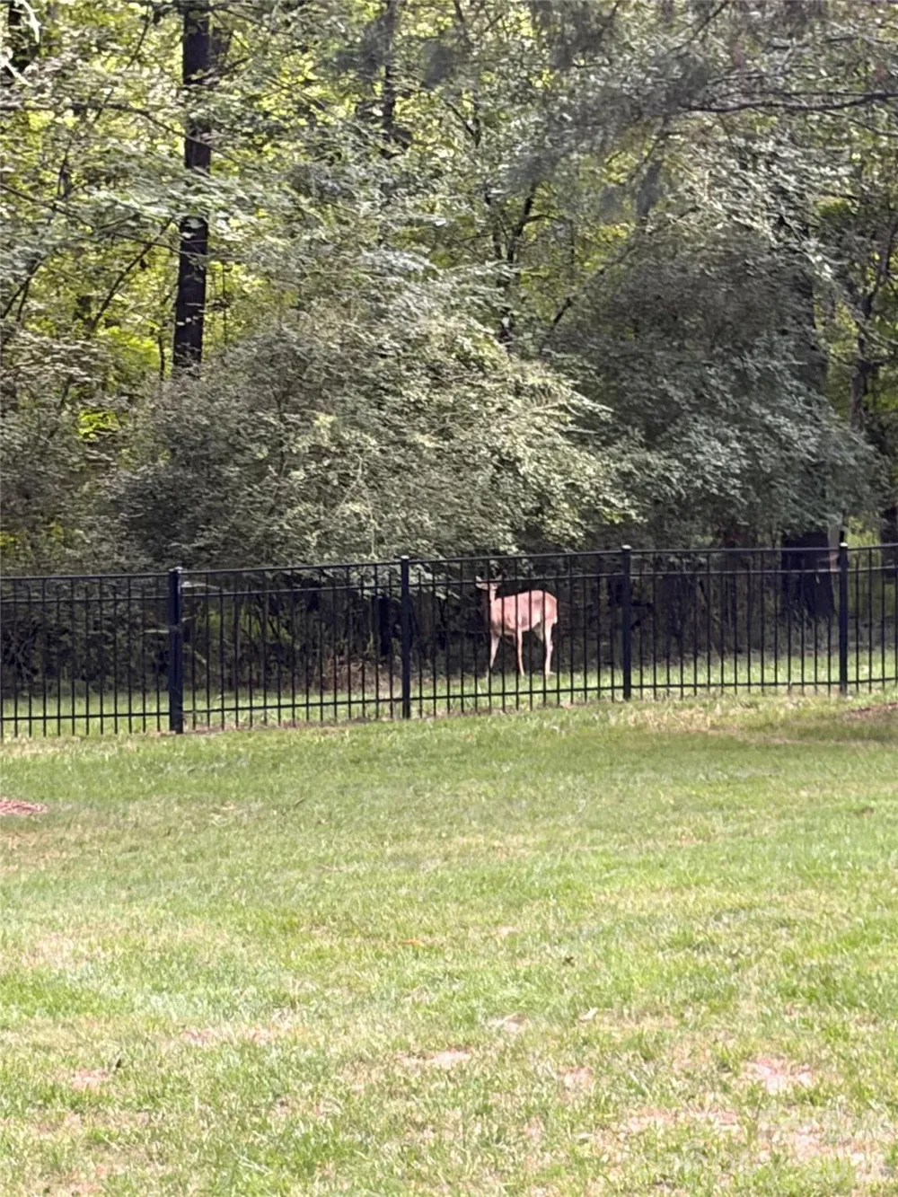 3013 Groves Edge Lane Waxhaw, NC 28173