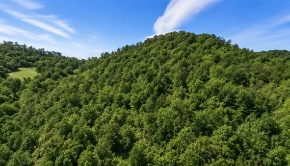 325 Freeman Ln Hartsville, TN 37074