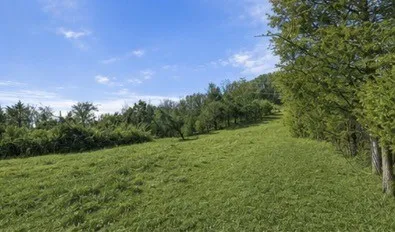 325 Freeman Ln Hartsville, TN 37074
