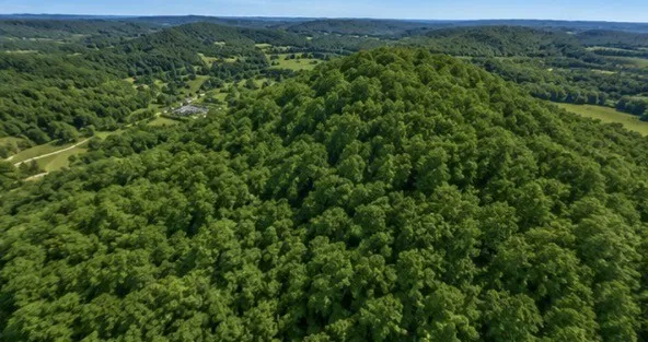 325 Freeman Ln Hartsville, TN 37074