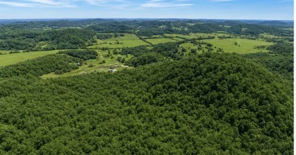 325 Freeman Ln Hartsville, TN 37074