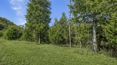 325 Freeman Ln Hartsville, TN 37074