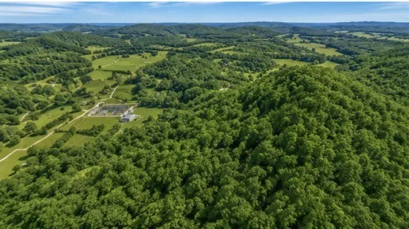 325 Freeman Ln Hartsville, TN 37074