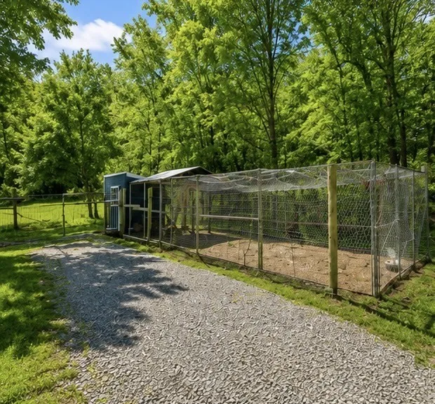 325 Freeman Ln Hartsville, TN 37074