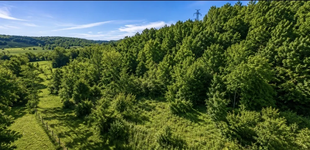 325 Freeman Ln Hartsville, TN 37074