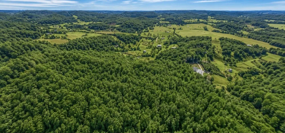 325 Freeman Ln Hartsville, TN 37074