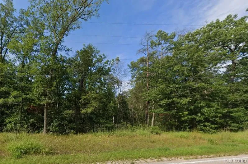 32nd St Webber Township, MI 49304