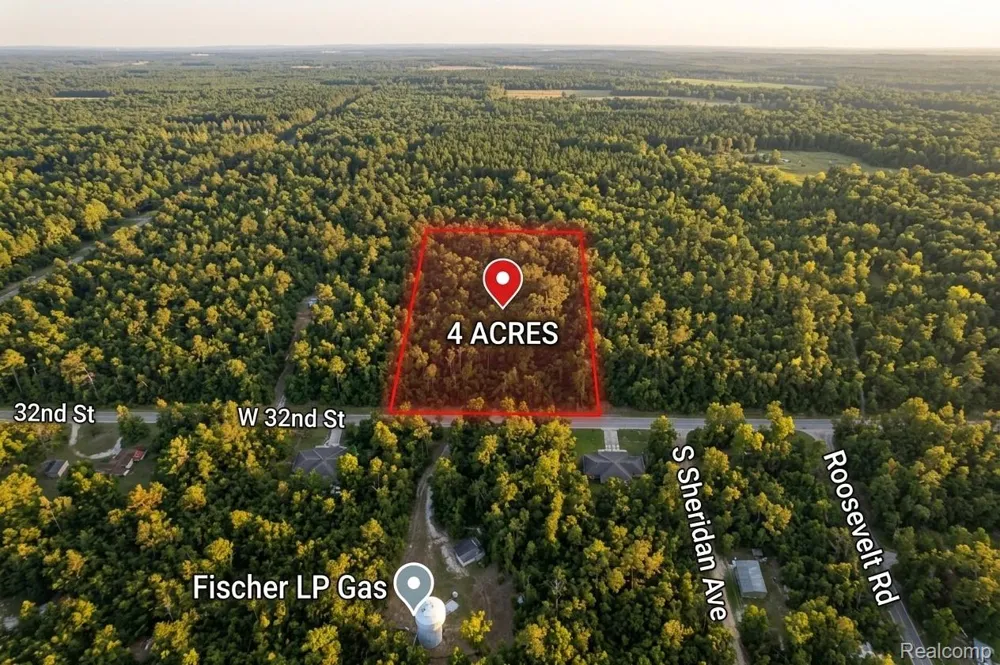 32nd St Webber Township, MI 49304