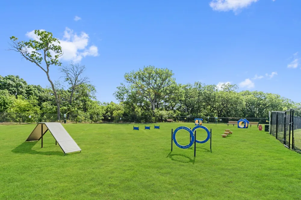 1016 Birkdale Drive Justin, TX 76247