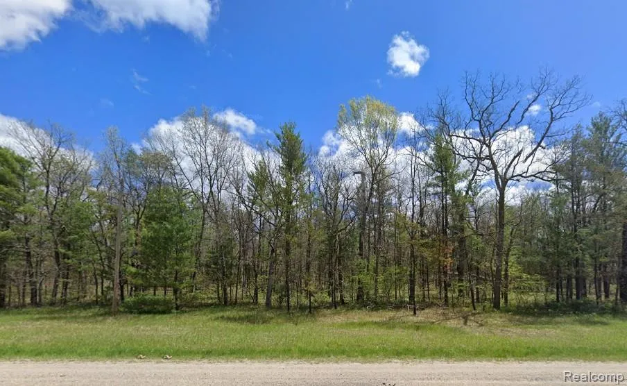 Parcel A Hwy 10 NW Webber Township, MI 49304