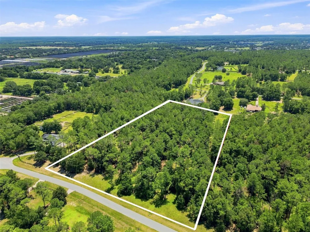 24150 GREENWOOD CROSSING Eustis, FL 32736