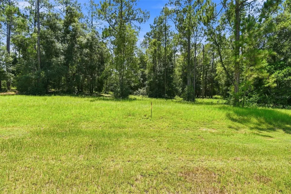 24150 GREENWOOD CROSSING Eustis, FL 32736