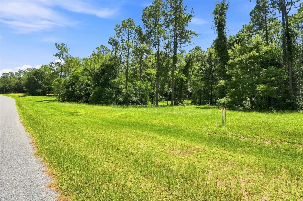 24150 GREENWOOD CROSSING Eustis, FL 32736