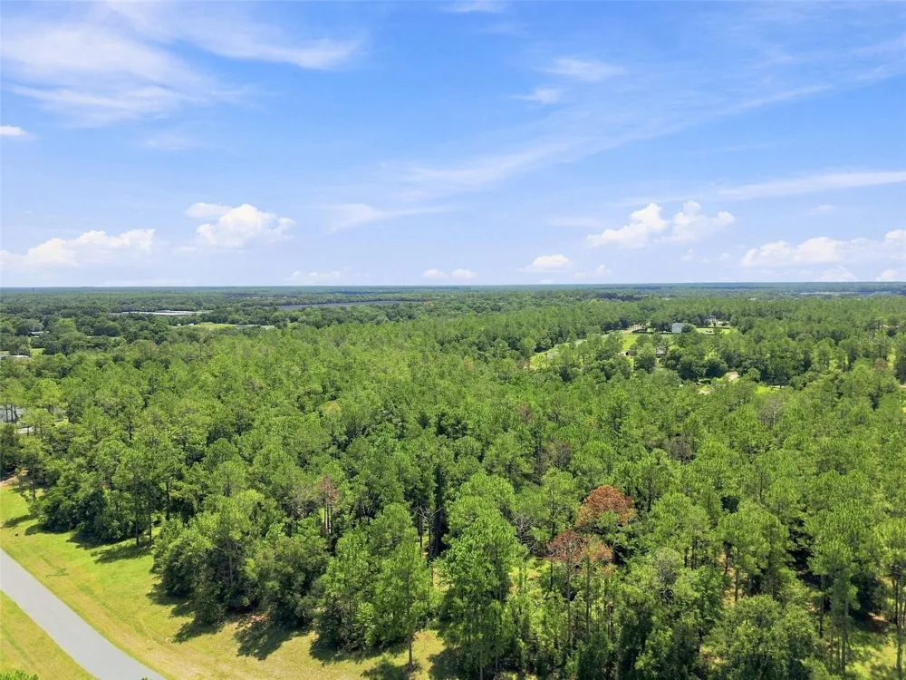 24150 GREENWOOD CROSSING Eustis, FL 32736