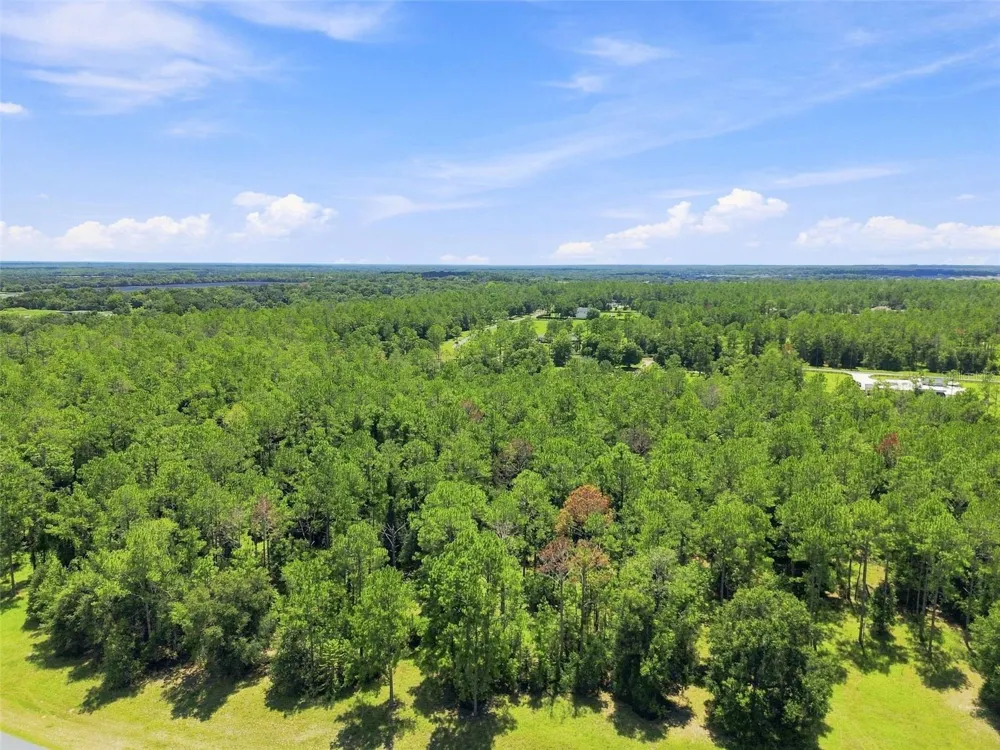 24150 GREENWOOD CROSSING Eustis, FL 32736
