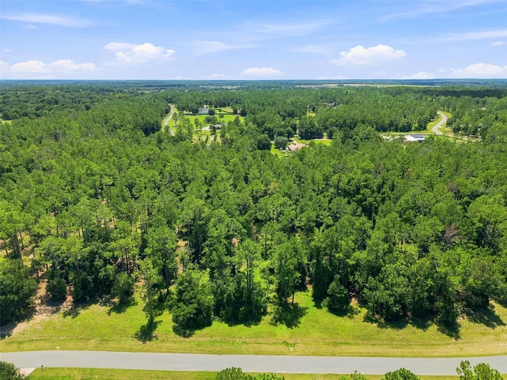 24150 GREENWOOD CROSSING Eustis, FL 32736
