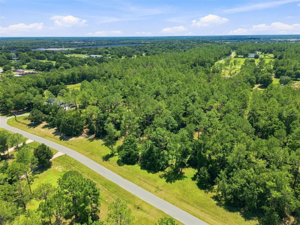 24150 GREENWOOD CROSSING Eustis, FL 32736