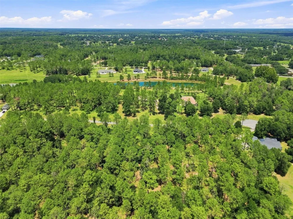 24150 GREENWOOD CROSSING Eustis, FL 32736