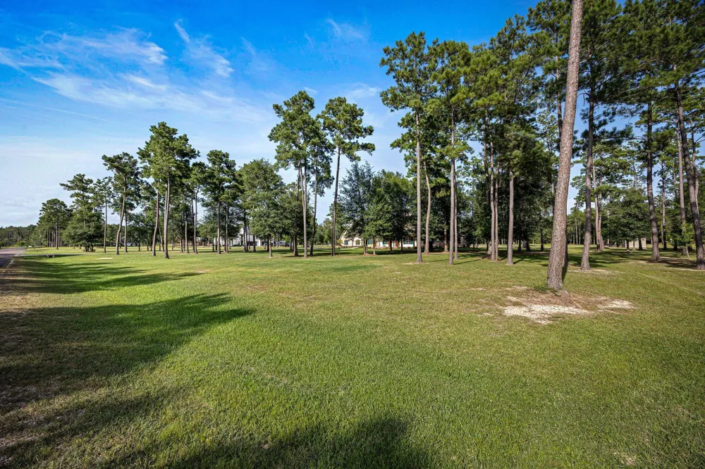 9155 Grizzly Drive Kountze, TX 77625