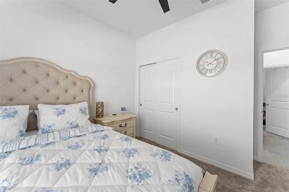 6025 CLAYSTONE WAY Mount Dora, FL 32757