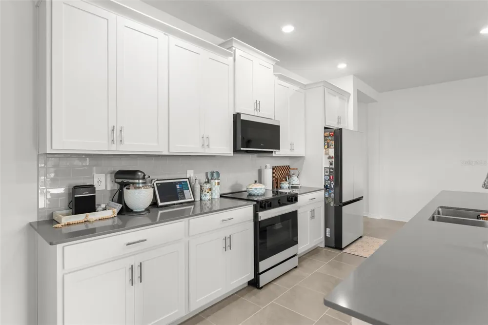 6025 CLAYSTONE WAY Mount Dora, FL 32757