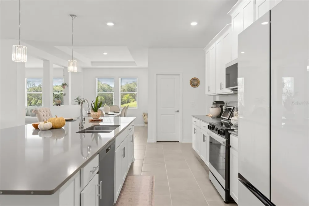6025 CLAYSTONE WAY Mount Dora, FL 32757