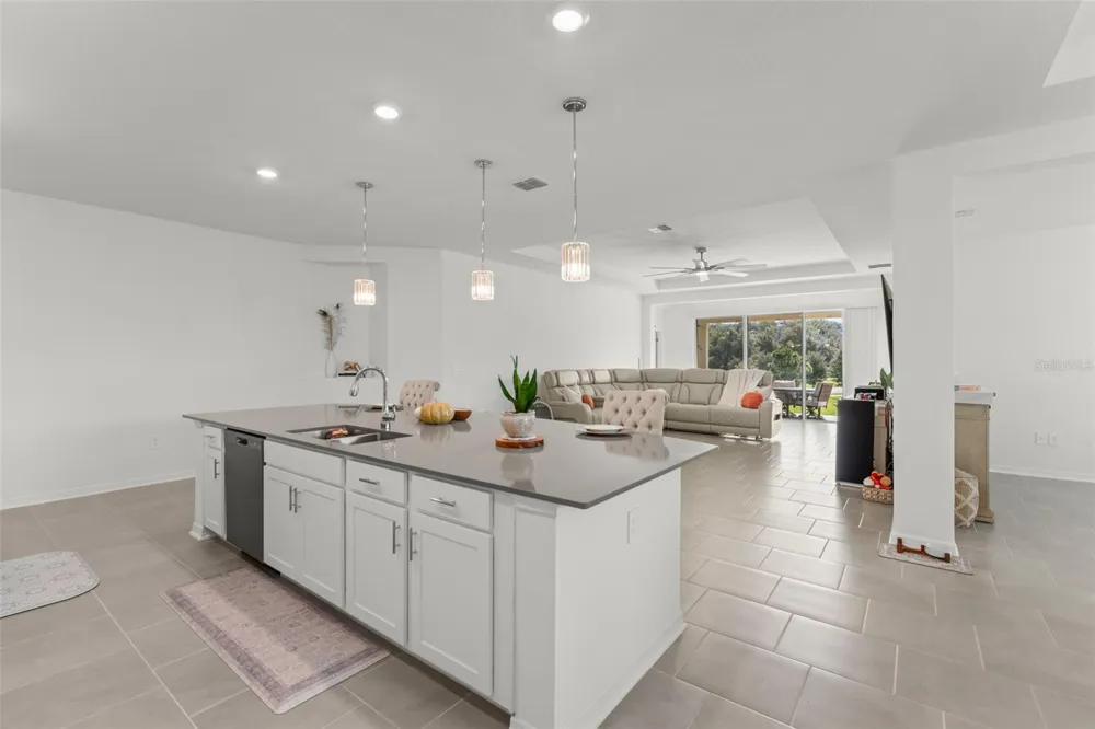 6025 CLAYSTONE WAY Mount Dora, FL 32757