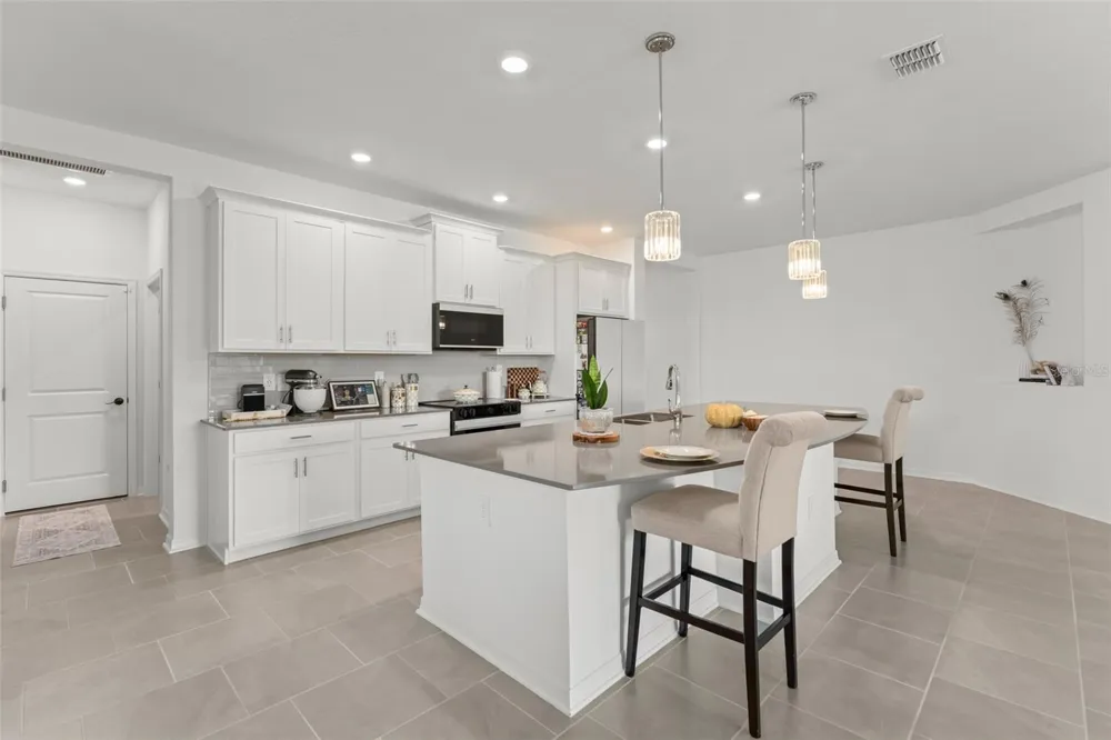 6025 CLAYSTONE WAY Mount Dora, FL 32757