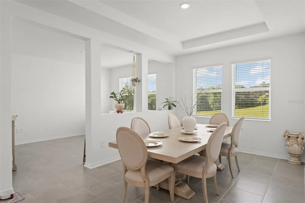 6025 CLAYSTONE WAY Mount Dora, FL 32757