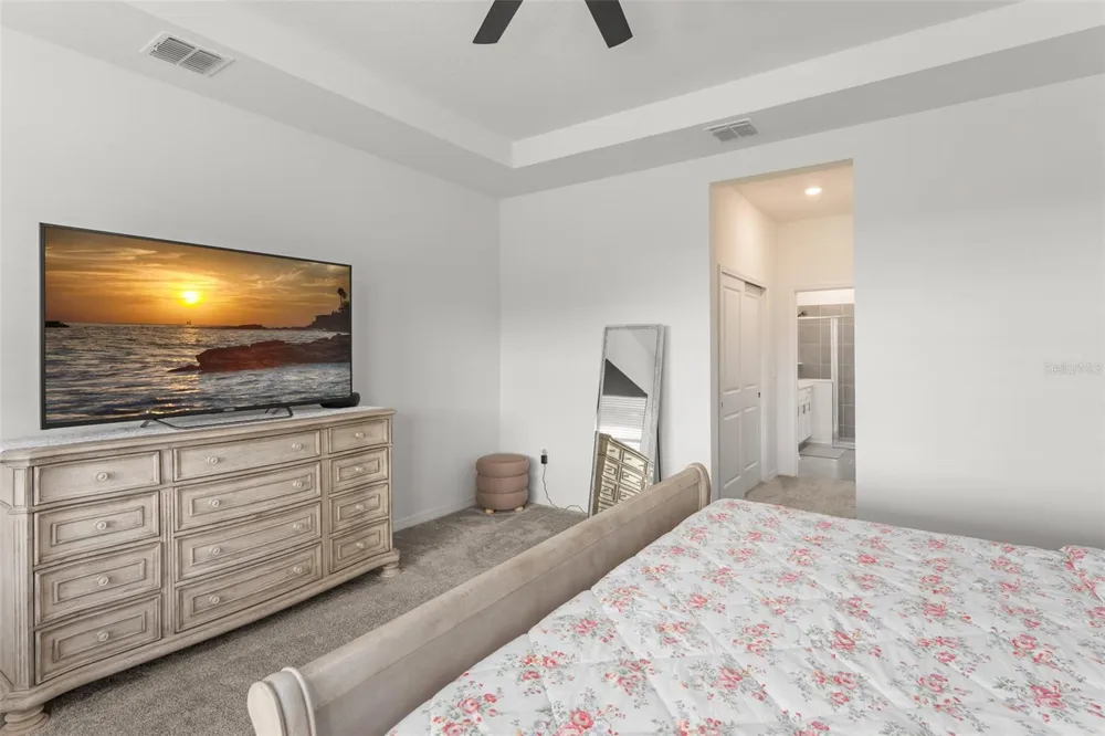 6025 CLAYSTONE WAY Mount Dora, FL 32757