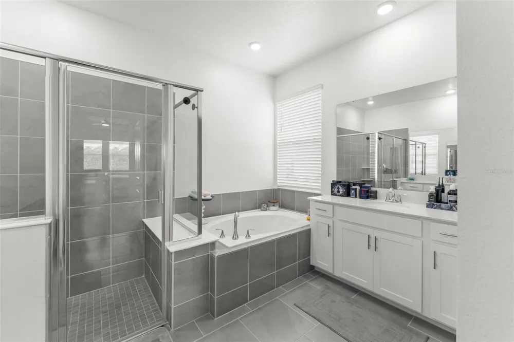 6025 CLAYSTONE WAY Mount Dora, FL 32757