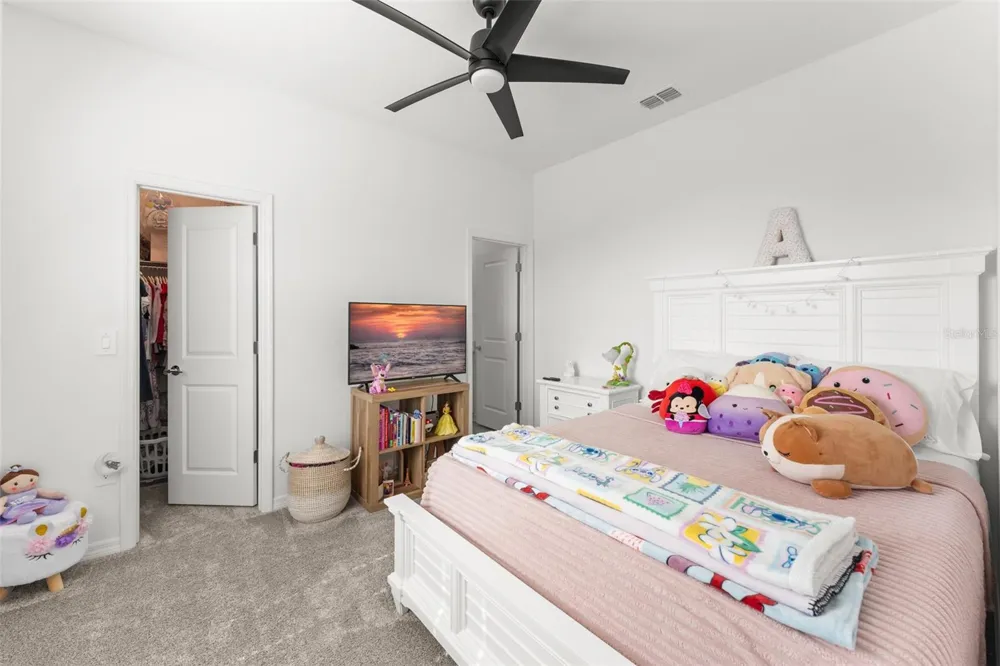 6025 CLAYSTONE WAY Mount Dora, FL 32757