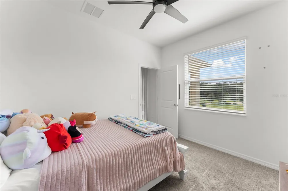 6025 CLAYSTONE WAY Mount Dora, FL 32757