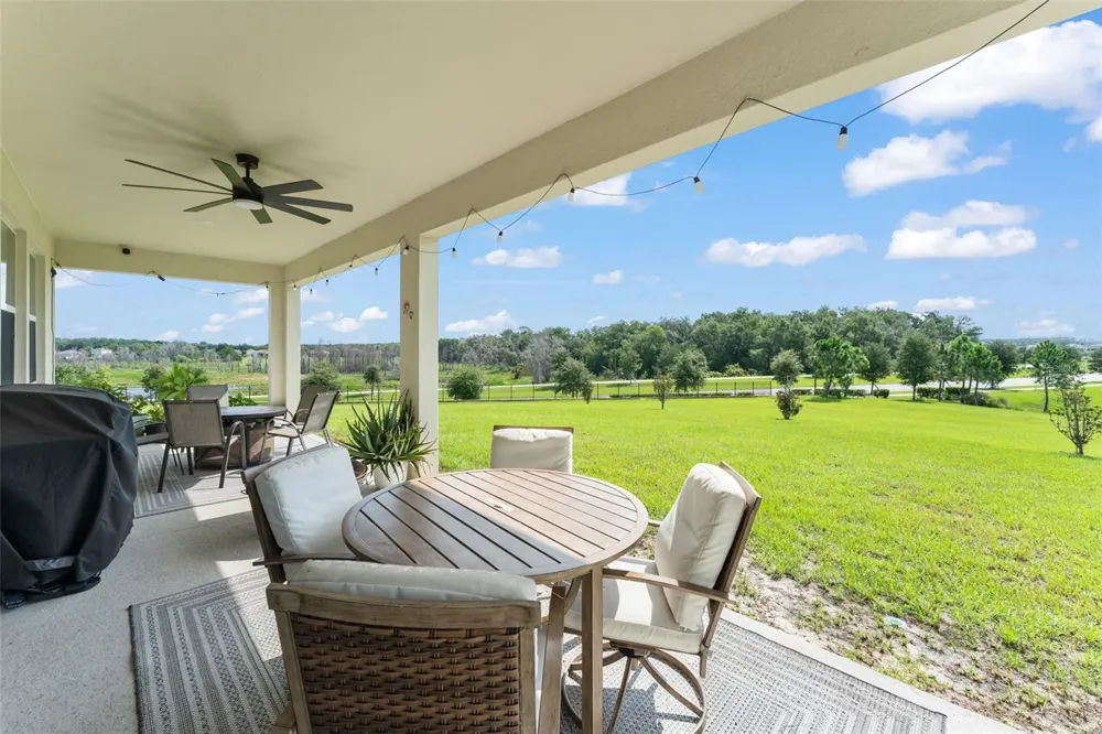 6025 CLAYSTONE WAY Mount Dora, FL 32757
