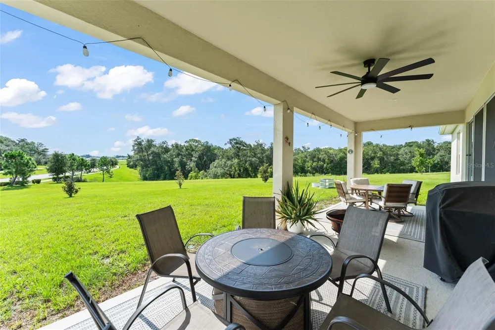 6025 CLAYSTONE WAY Mount Dora, FL 32757