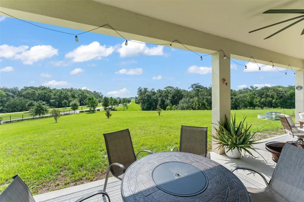 6025 CLAYSTONE WAY Mount Dora, FL 32757